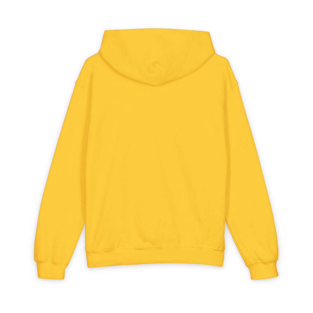 Lake Travis - Field Trip Youth Hoodie
