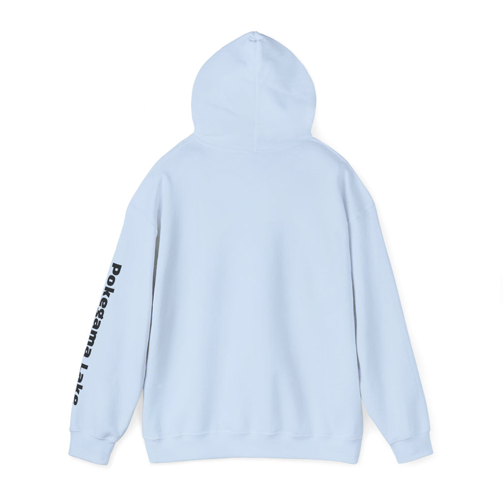 Pokegama Lake - Unisex Heavy Blend™ Hooded Sweatshirt
