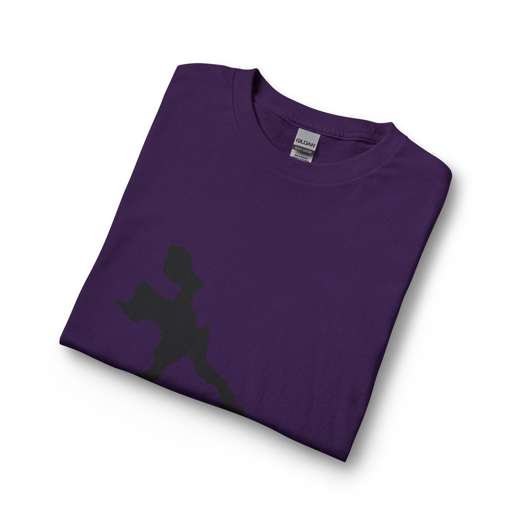 Pokegama Lake Map Long Sleeve Shirt — Lake Outline Tee