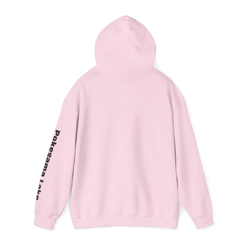 Pokegama Lake - Unisex Heavy Blend™ Hooded Sweatshirt