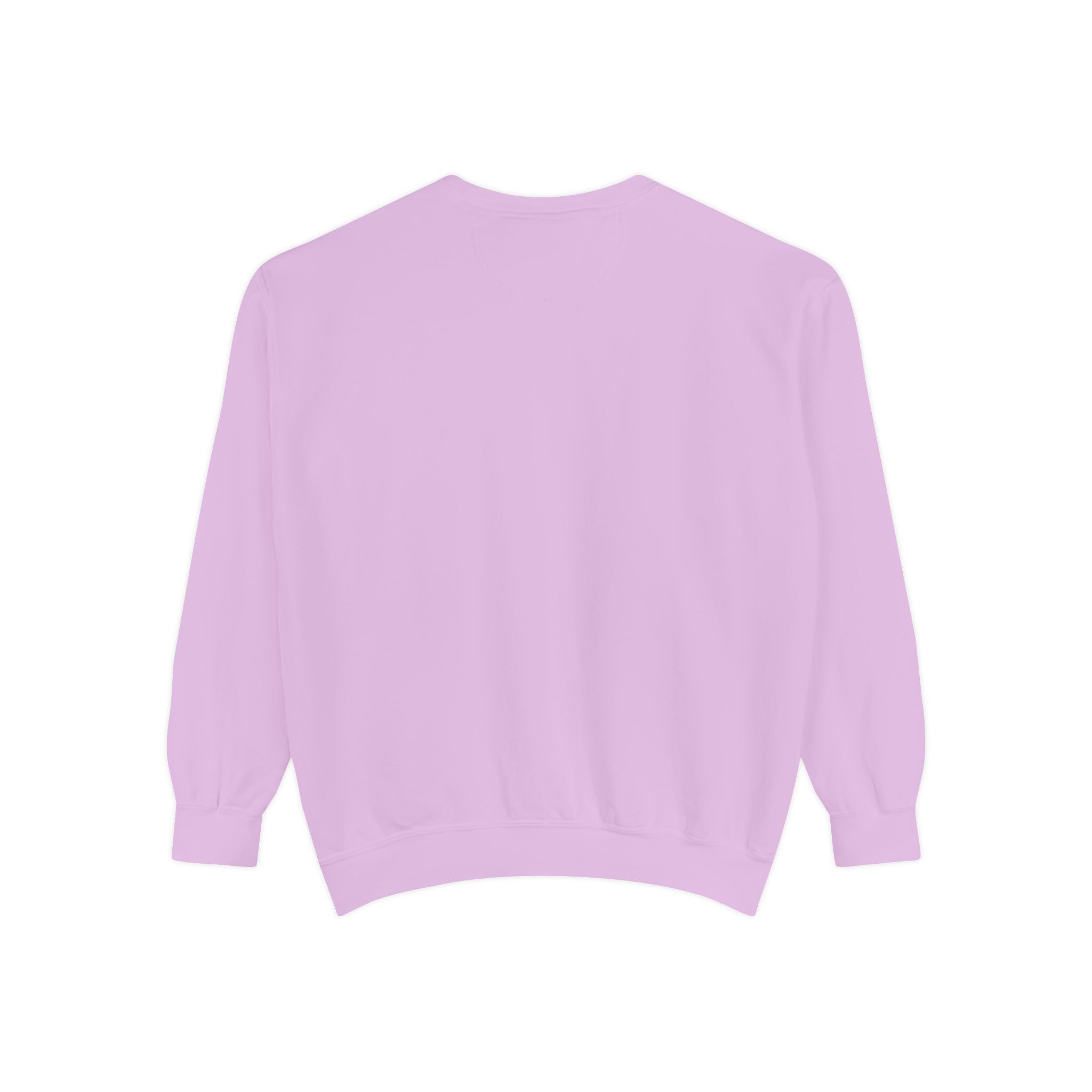 Lakeside Park — Cozy Coastal Crewneck