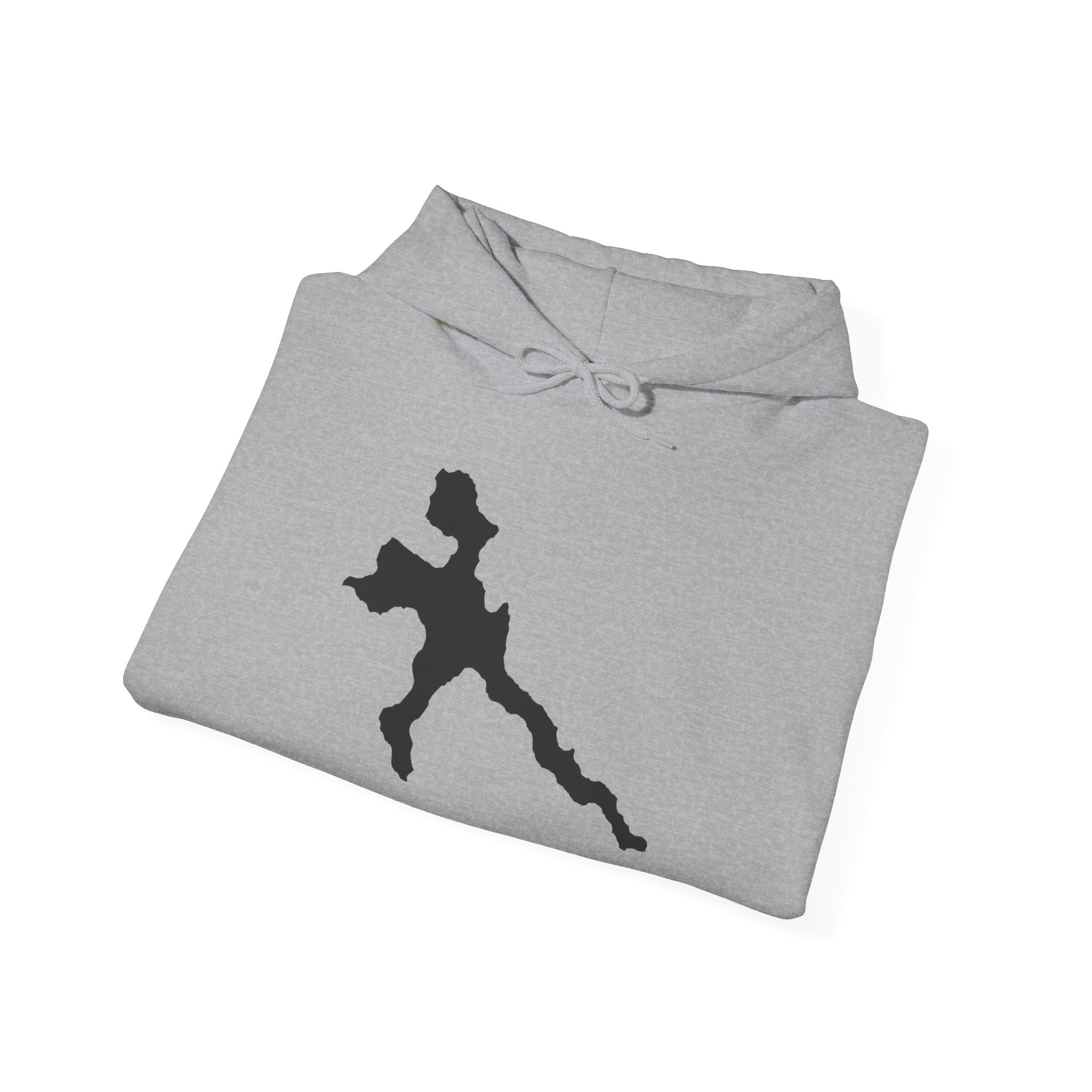 Pokegama Lake - Unisex Heavy Blend™ Hooded Sweatshirt